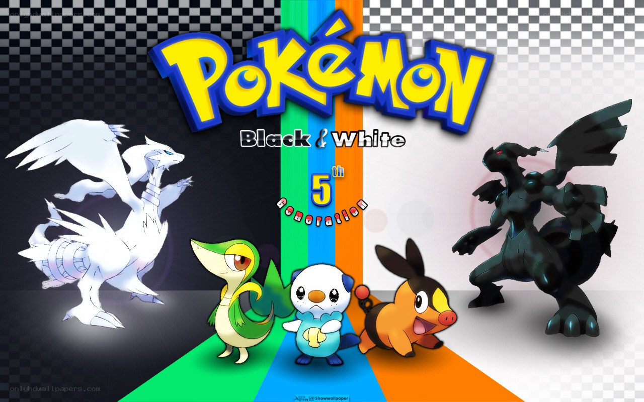 Pokémon Black and White artwork
