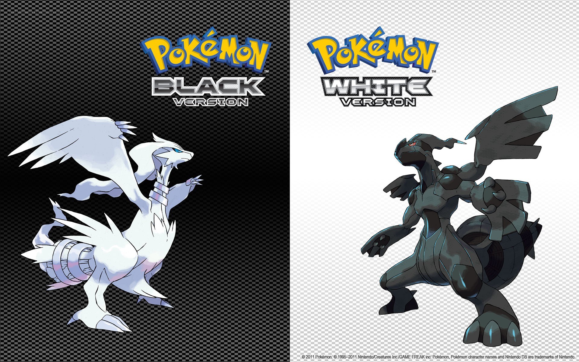 Pokémon Black and White Versions
