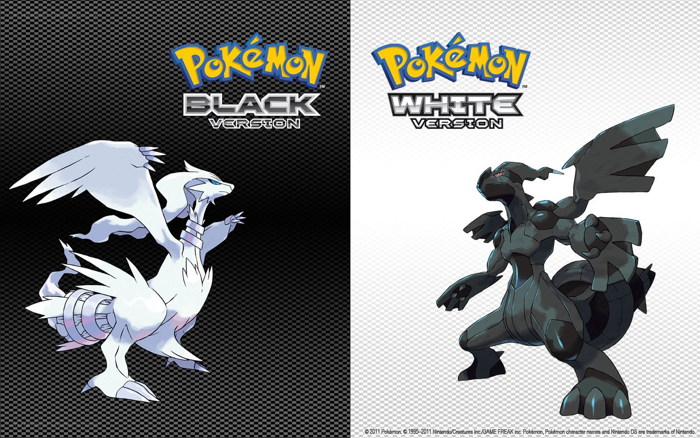 Pokémon Black and White Versions