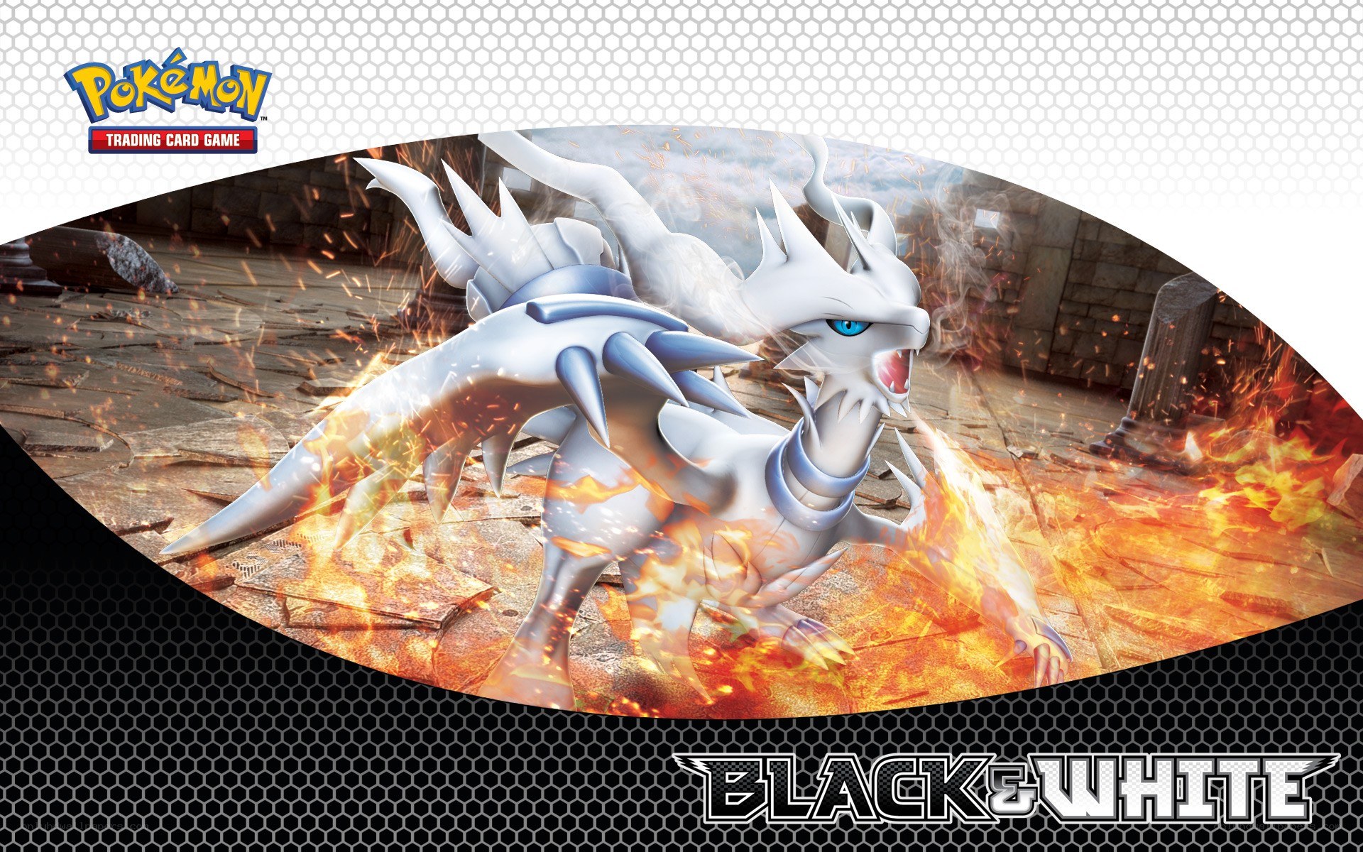 Pokémon Black & White artwork