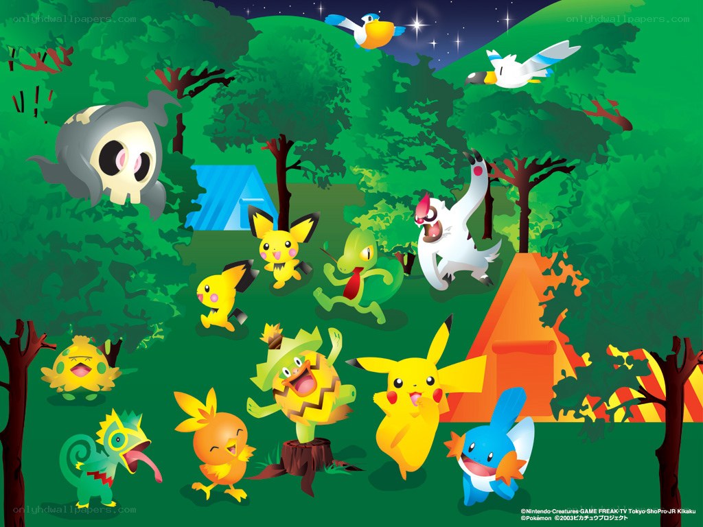 Pokémon camping adventure