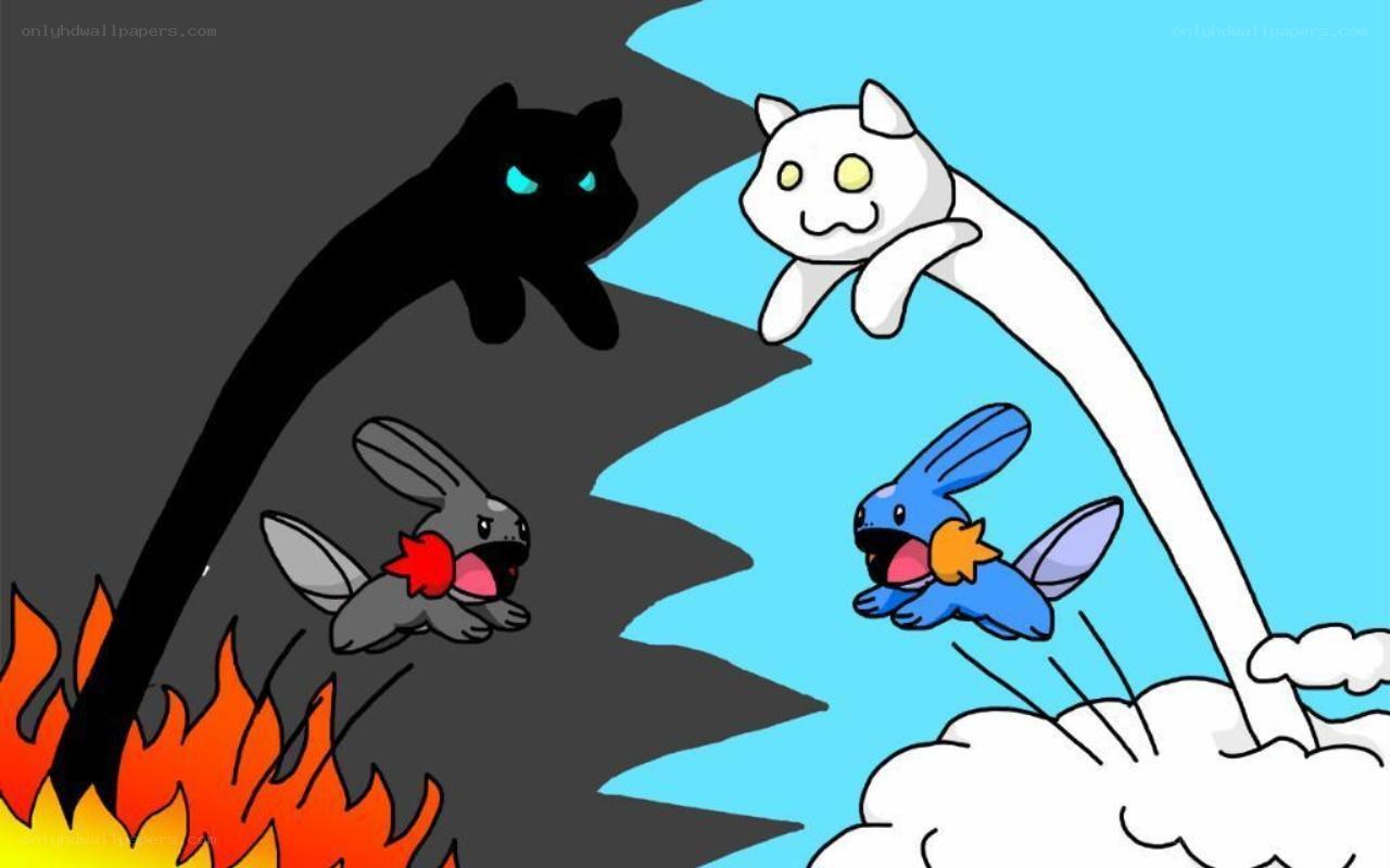 Pokémon cats in a split world