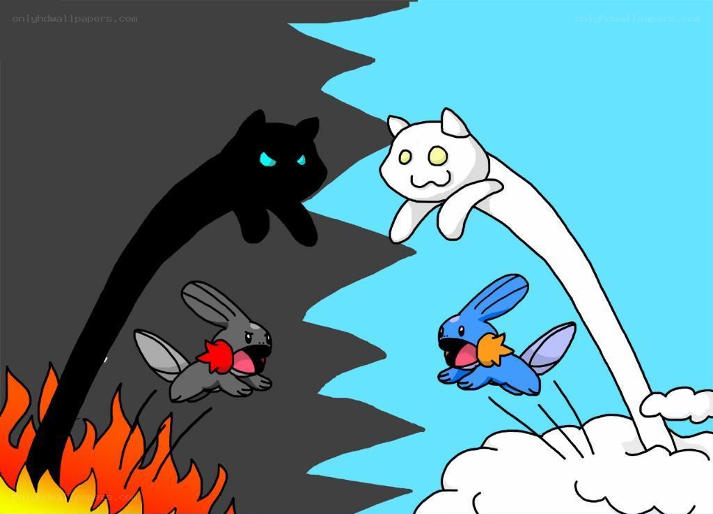 Pokémon cats in a split world