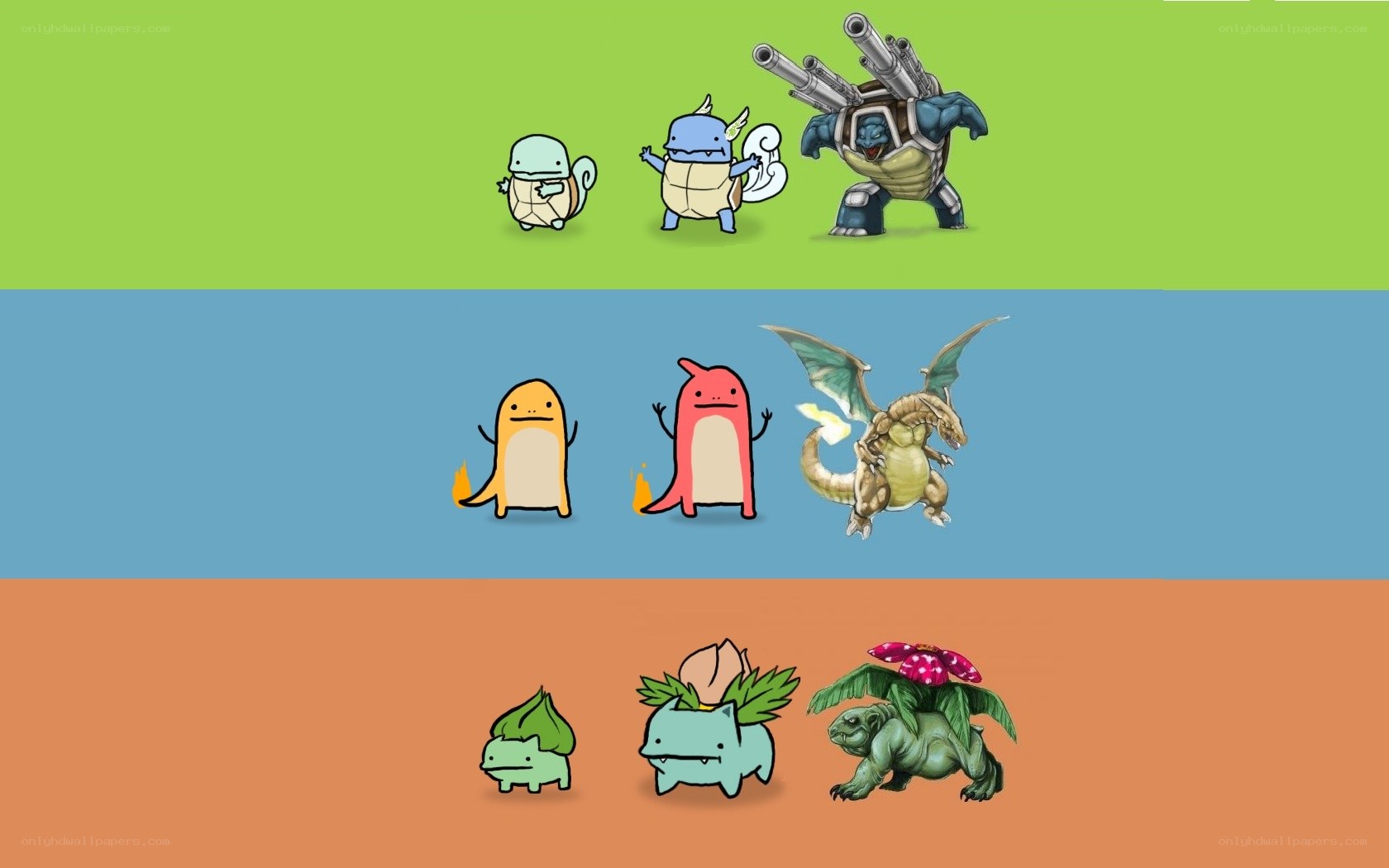 Pokémon Evolution Art