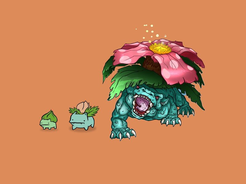 Pokémon Evolution Line — Orange
