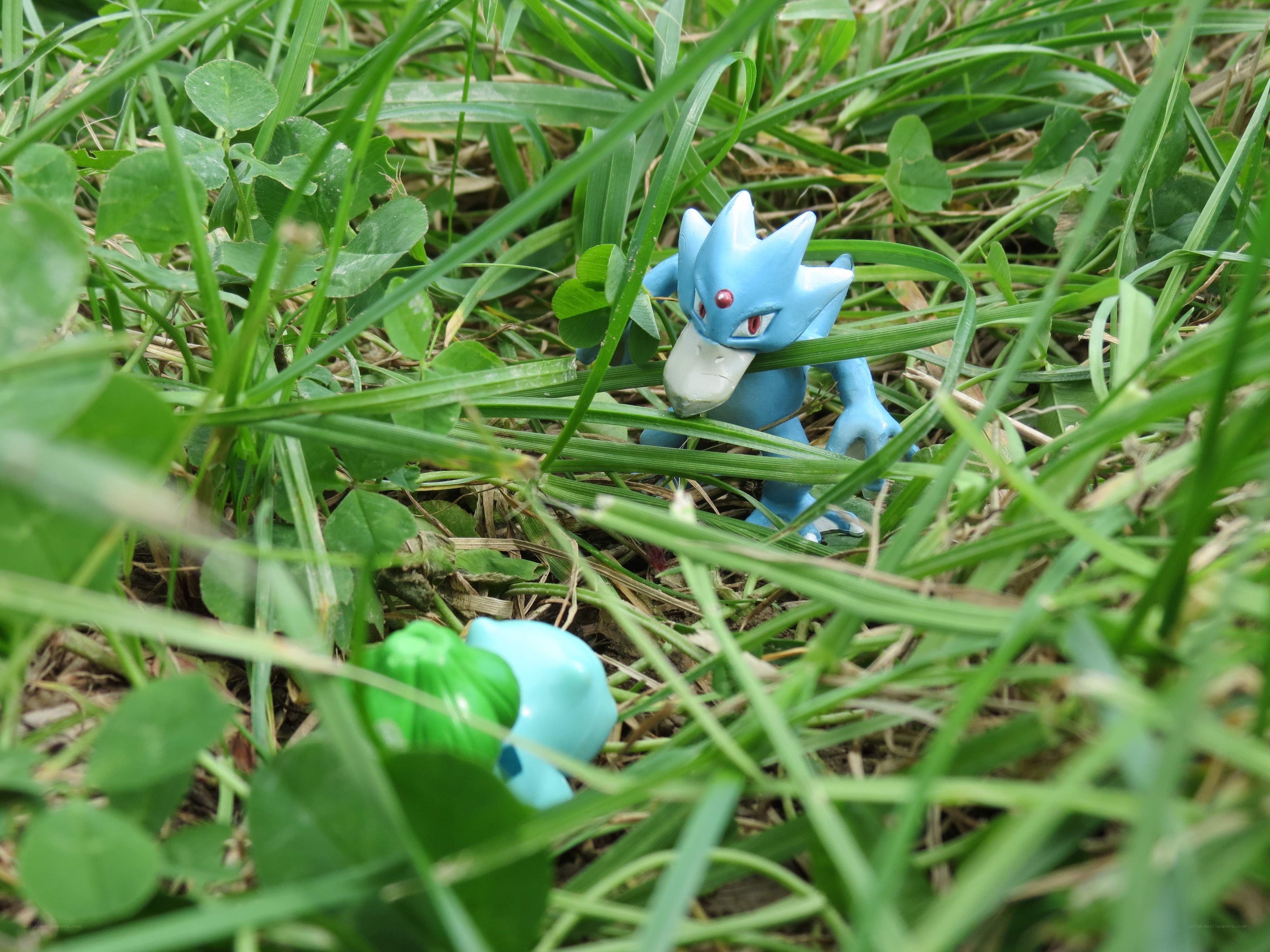 Pokémon figures in grass