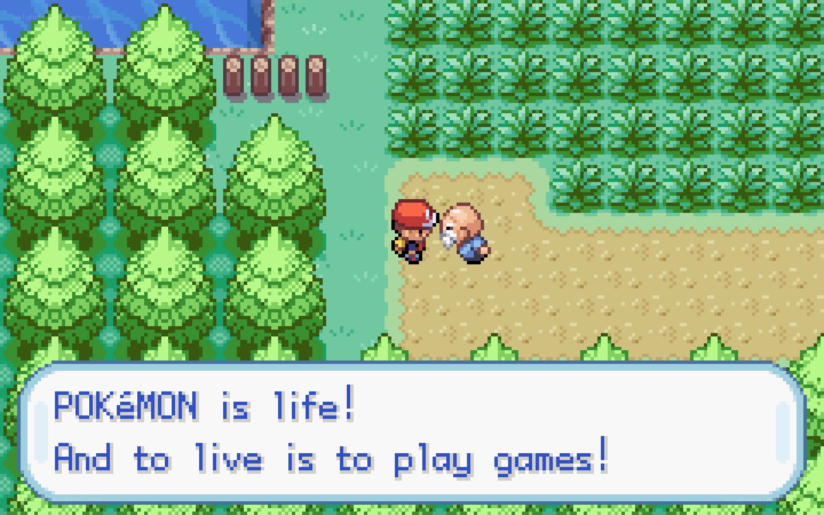 Pokémon game dialogue scene