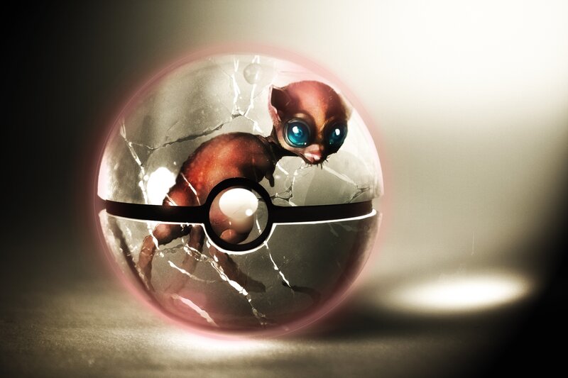 Pokémon in a Poké Ball — Brown