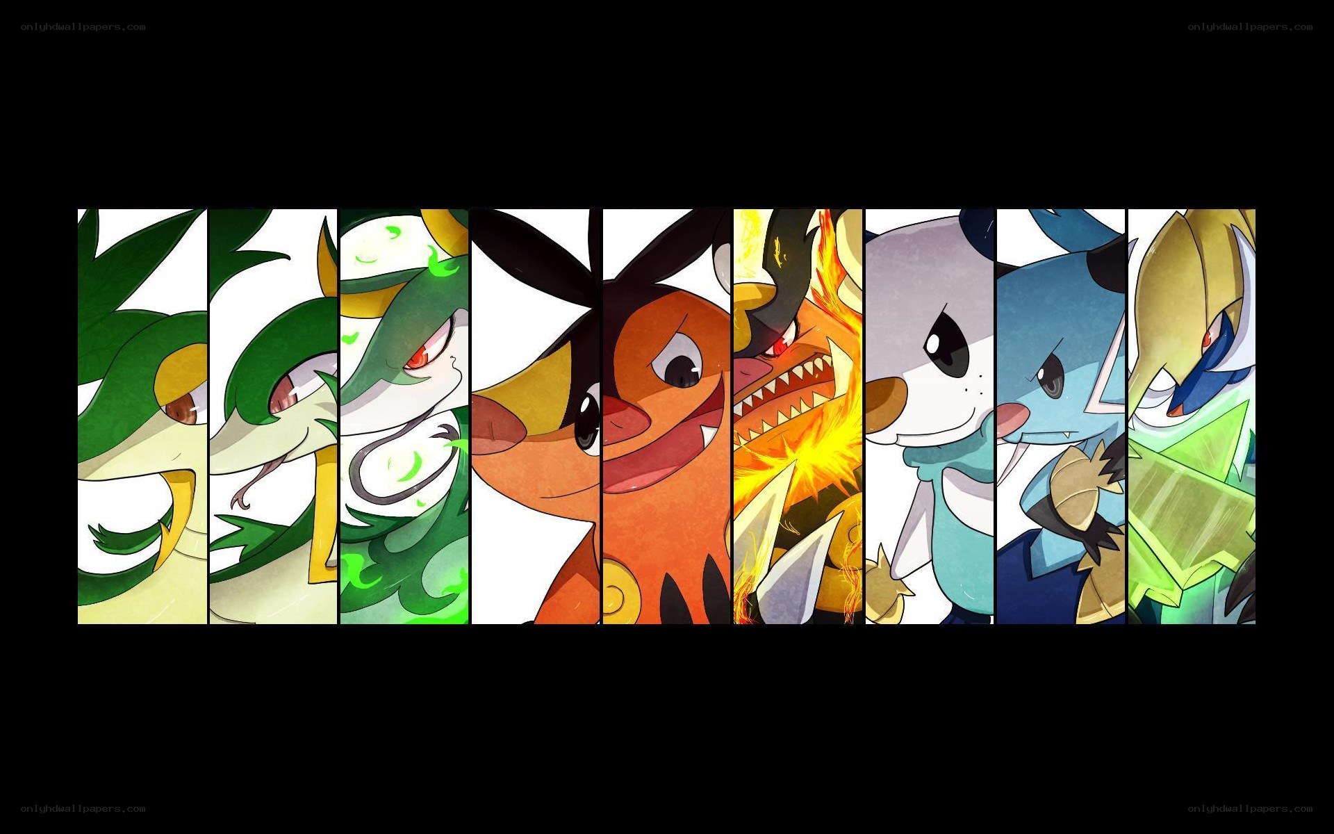 Pokémon starter lineup