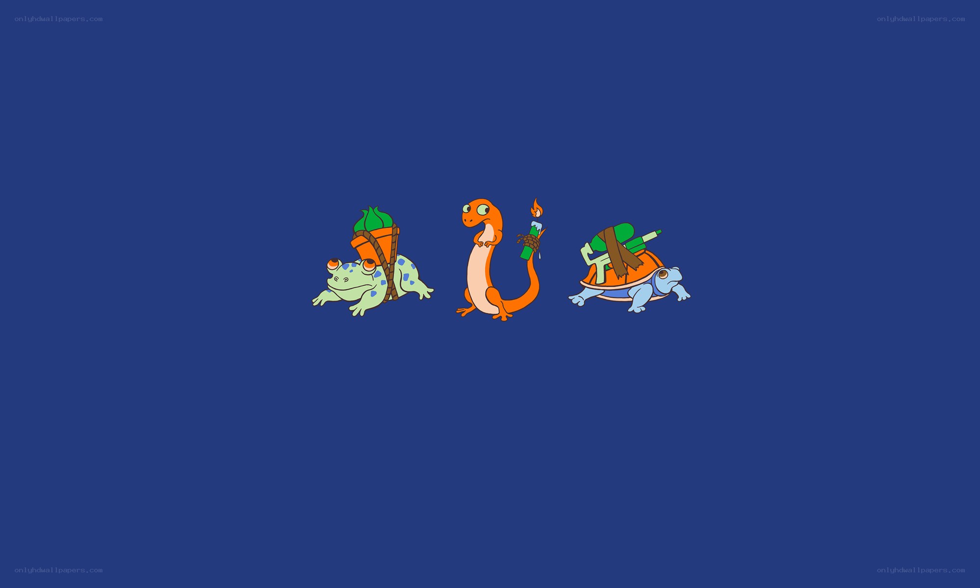 Pokémon starter trio