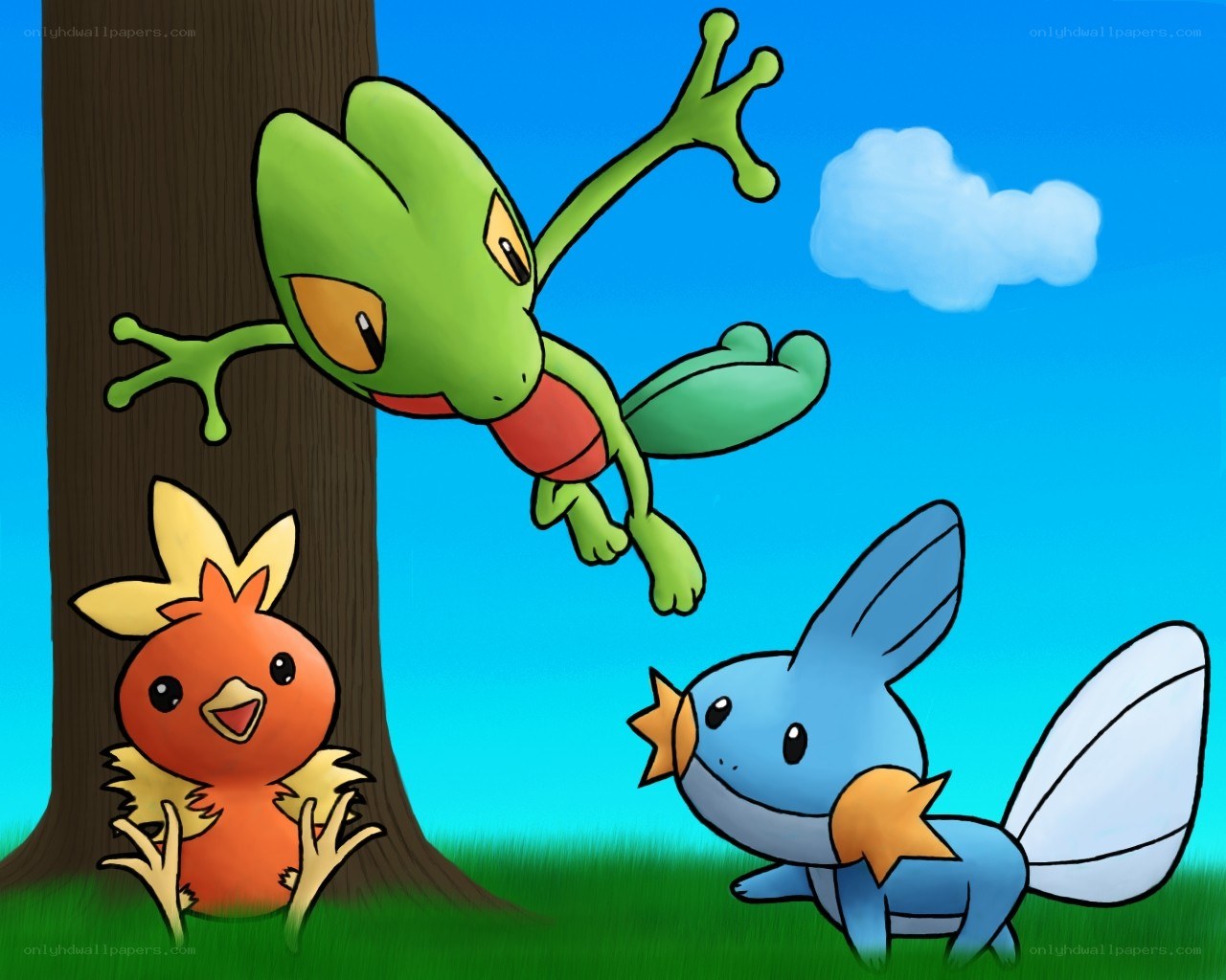 Pokémon starter trio