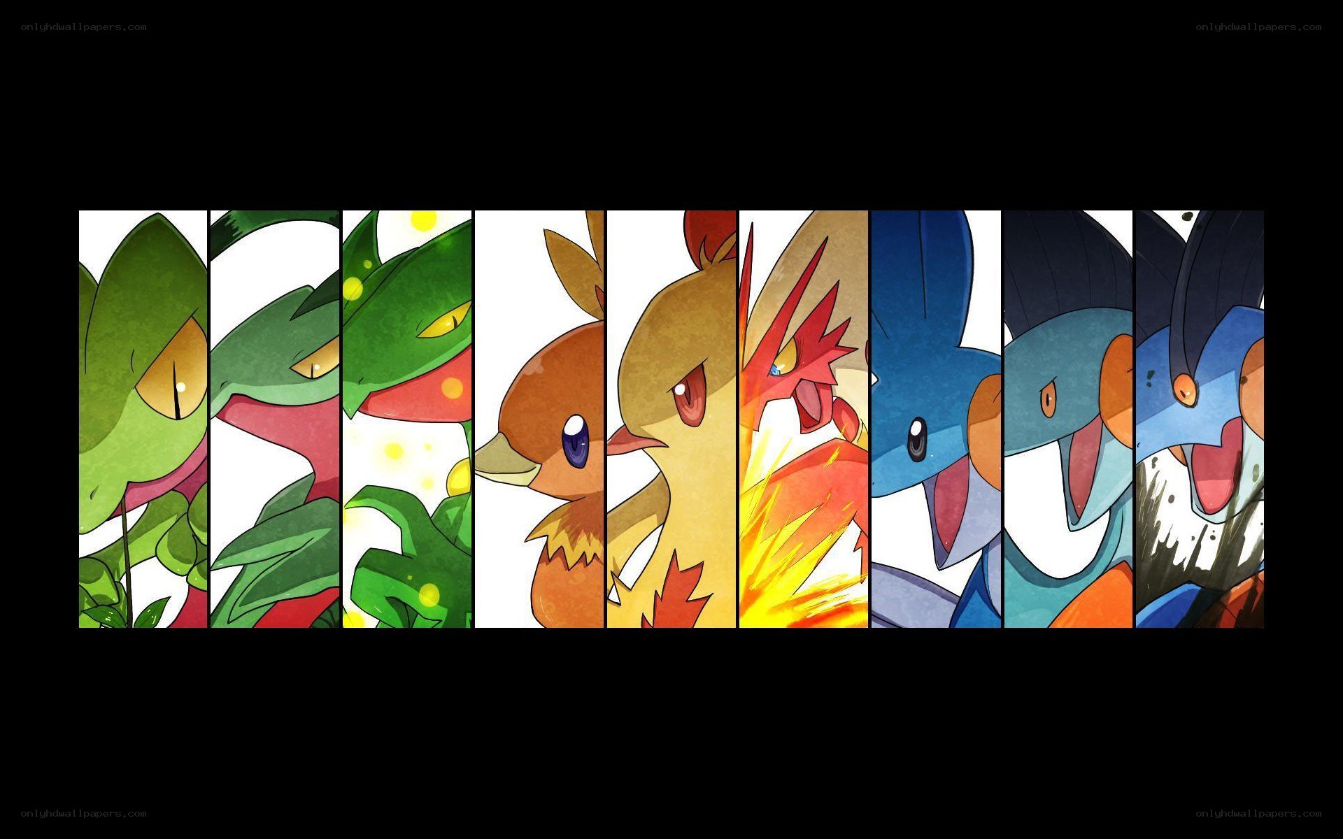 Pokémon starter trio