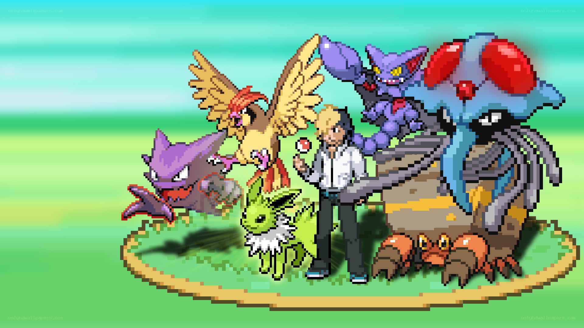 Pokémon team group shot