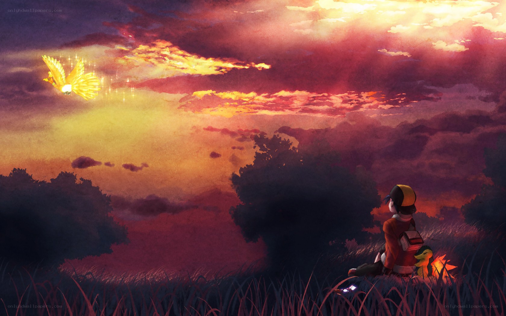 Pokémon trainer at sunset