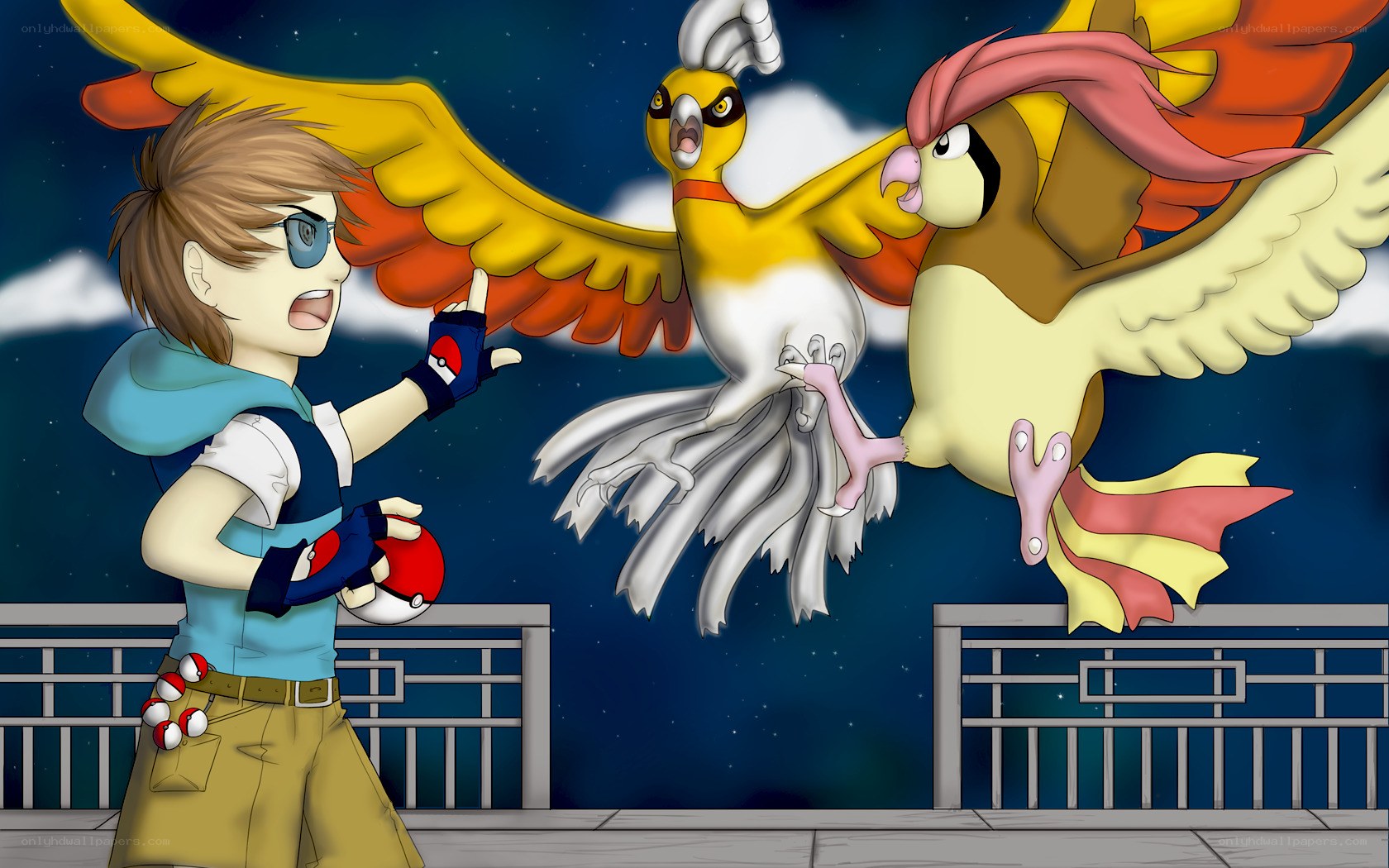 Pokémon trainer with birds