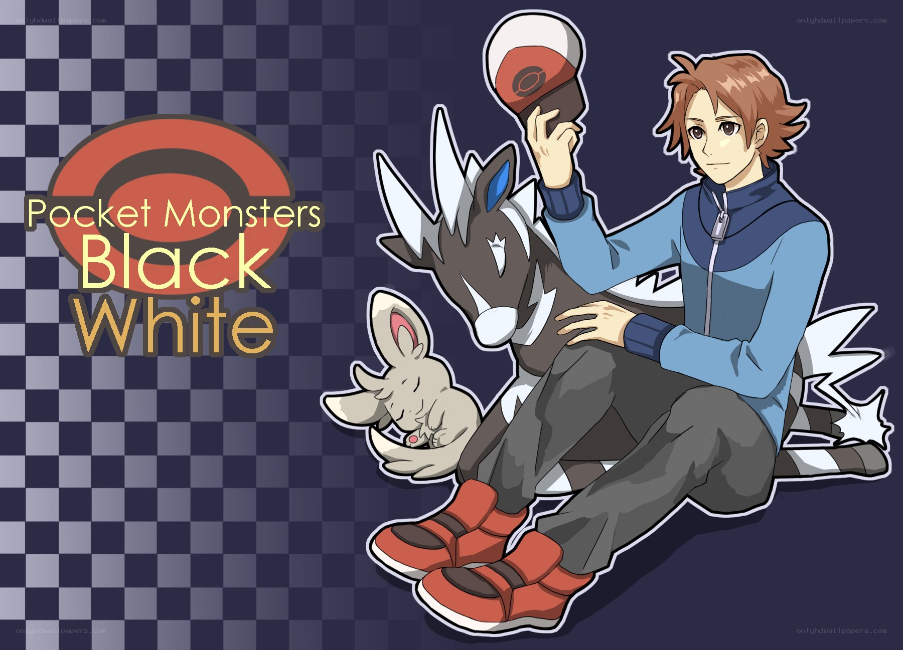 Pokemon Black and White artwork