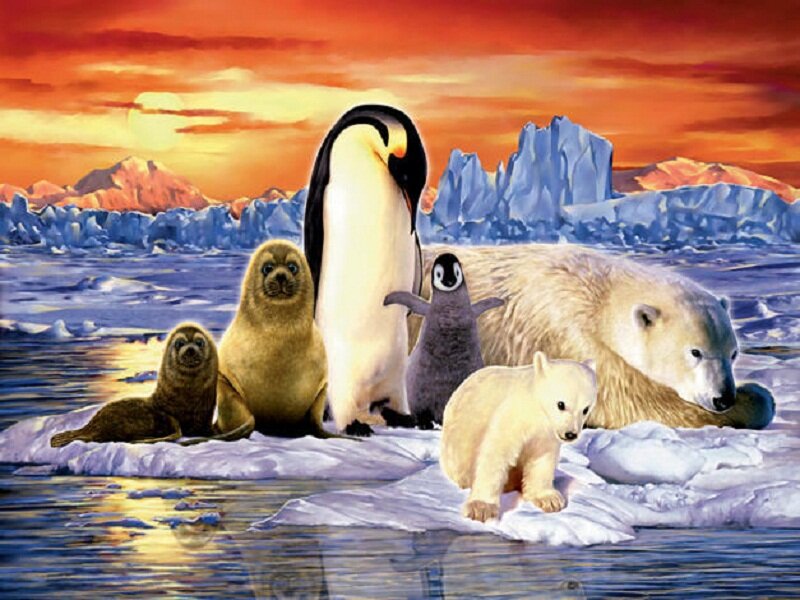 Polar Animals on Ice