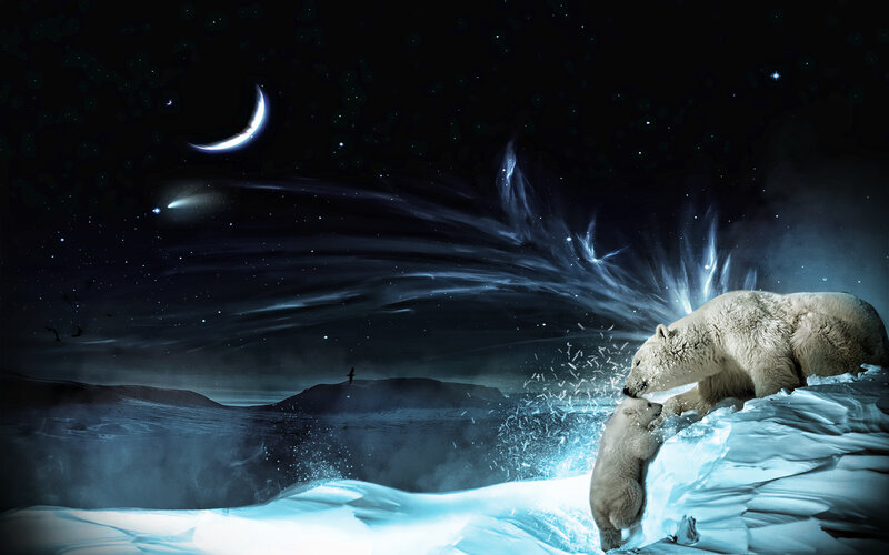 Polar Bear and Cub — Blue, Dramatic, Night