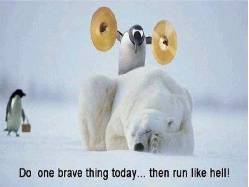Polar Bear and Penguins — White