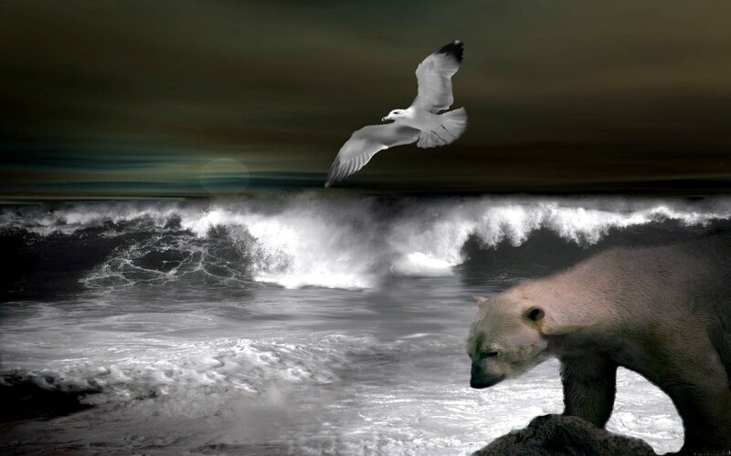 Polar bear and seagull at sea