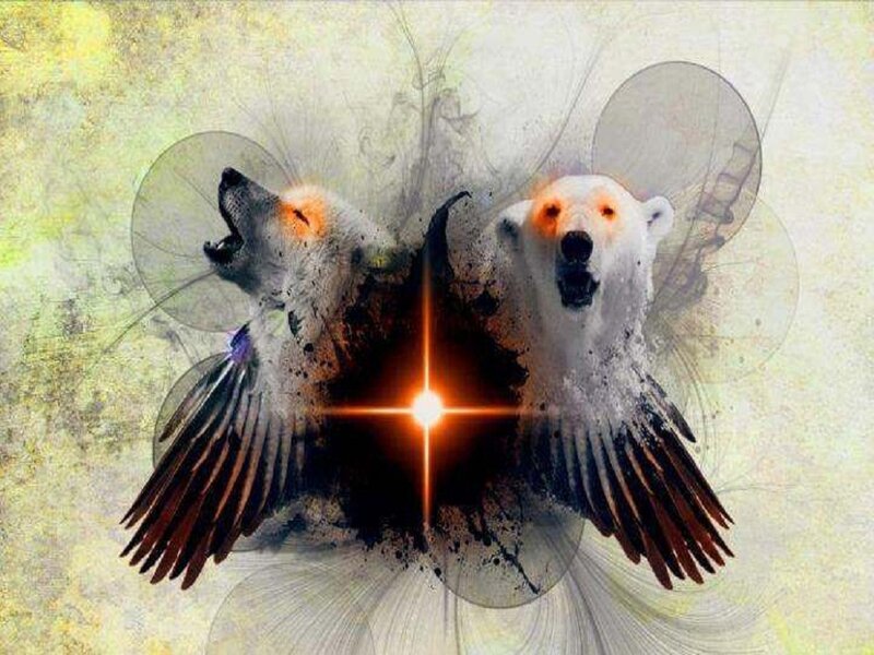 Polar Bear and Wolf