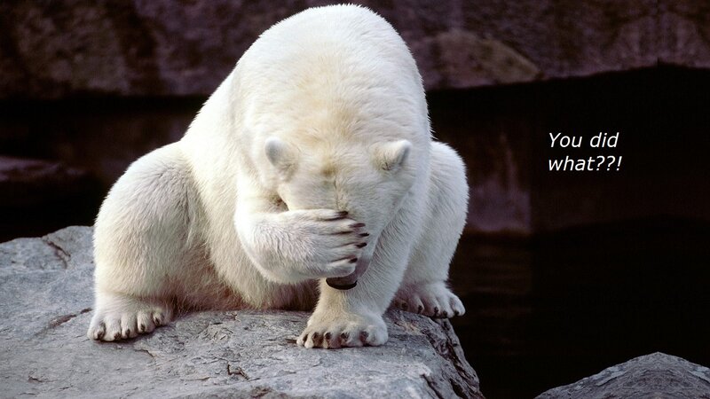 Polar Bear Covering Face — White, Shocked