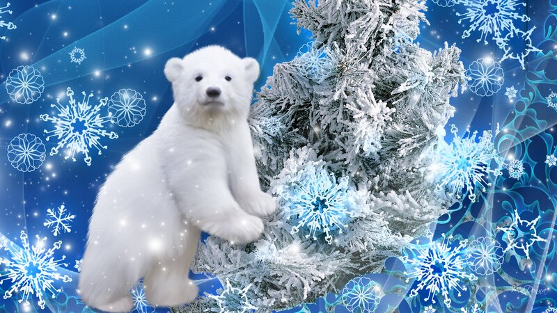 Polar Bear Cub — Blue, Festive