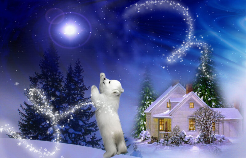 Polar Bear Cub — Blue, Magical