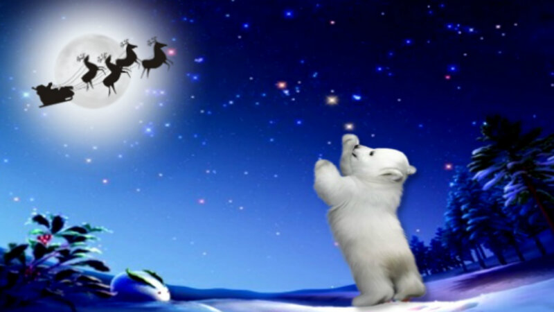 Polar Bear Cub — Blue, Serene, Night, Digital Art