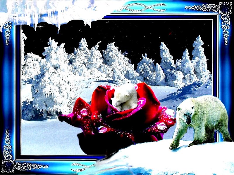 Polar Bear Cub in Rose