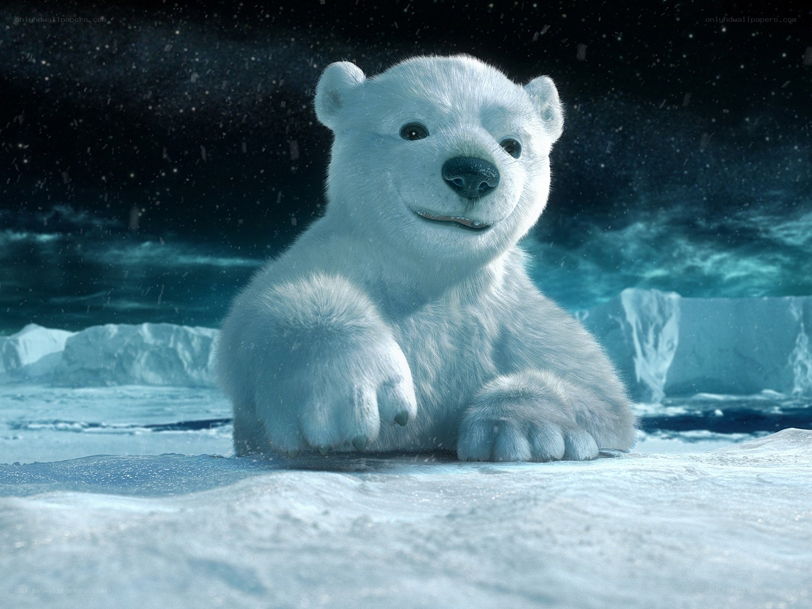 Polar bear cub on ice