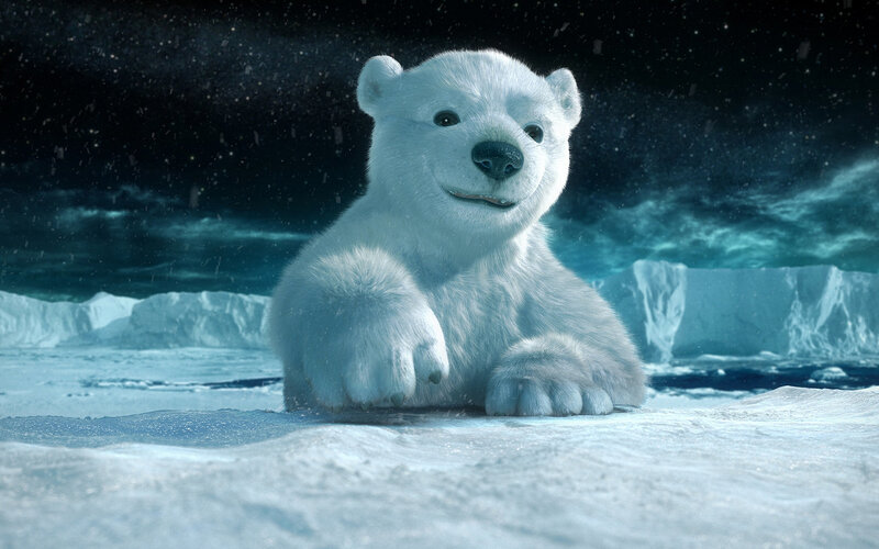 Polar Bear Cub — White, Calm, Night