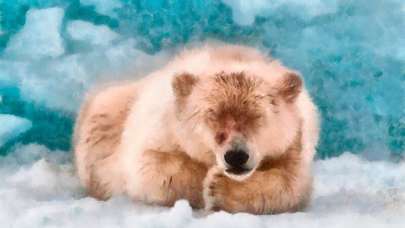 Polar Bear Cub — White, Calm, Winter, Painting