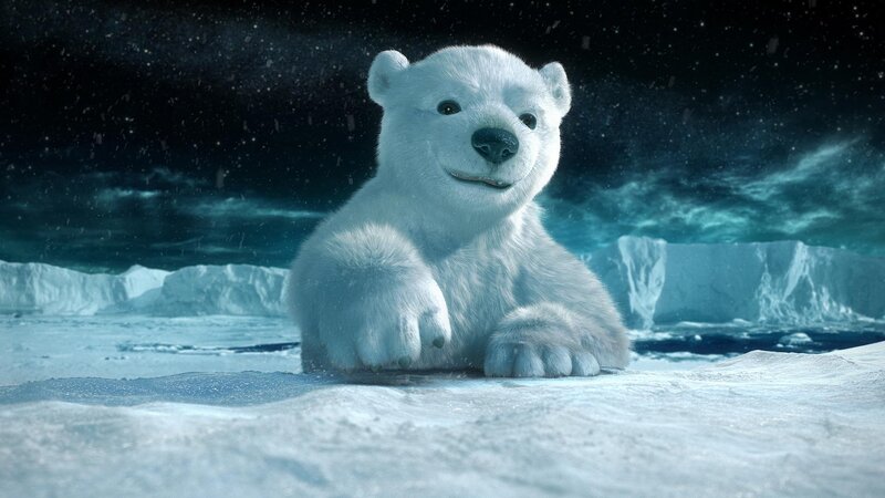 Polar Bear Cub — White, Cold, Night