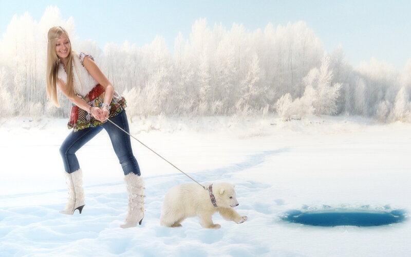 Polar Bear Cub — White, Playful, Winter, Photograph