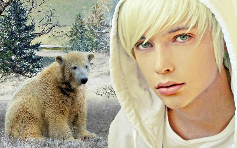 Polar Bear Cub — White, Serene, Winter, Digital Art