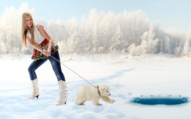 Polar Bear Cub — White, Serene, Winter, Photograph