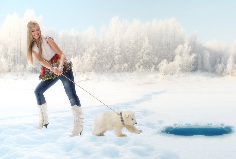 Polar Bear Cub — White, Serene, Winter