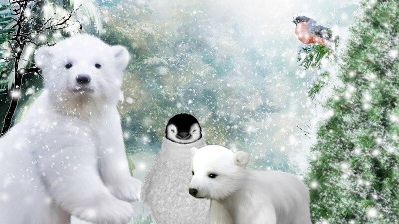 Polar Bear Cubs and Penguin