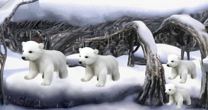 Polar Bear Cubs — White, Cold