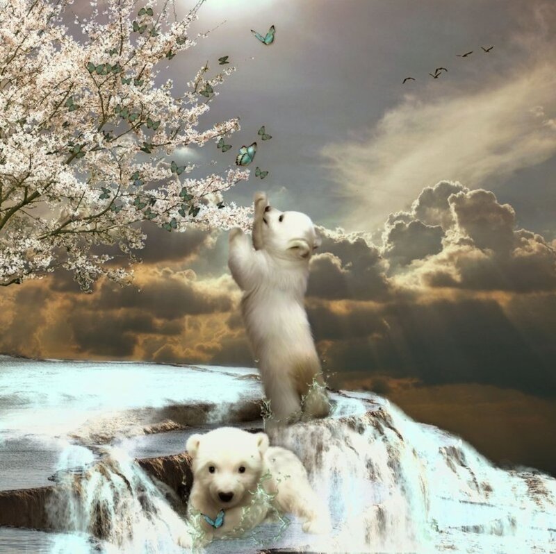 Polar Bear Cubs — White, Dramatic