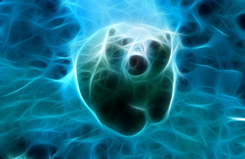 Polar Bear Face — Blue