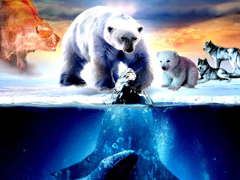 Polar Bear Family — Blue, Dramatic, Sunset