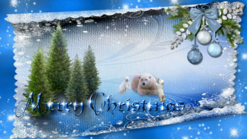 Polar Bear Family — Blue, Festive