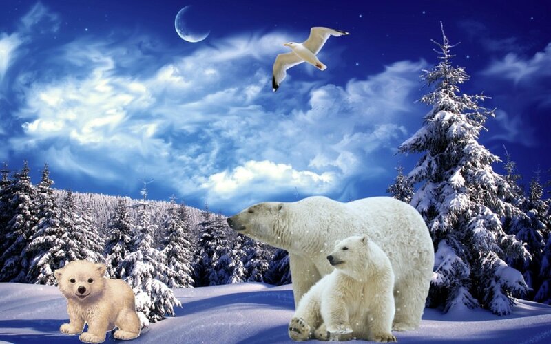 Polar Bear Family — Blue, Serene, Night, Digital Art, Seagull