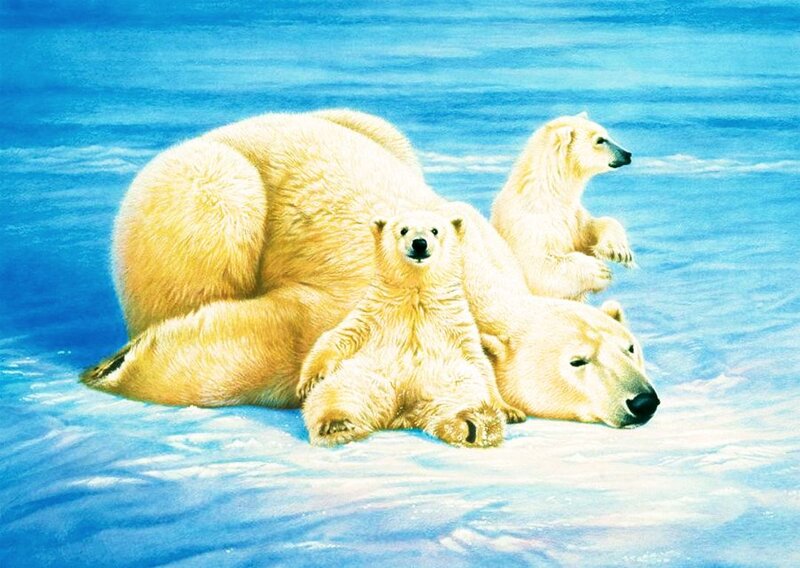 Polar Bear Family — Blue, Serene, Winter