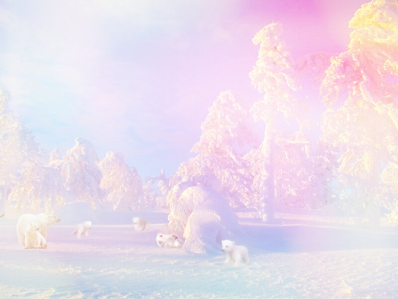 Polar Bear Family in Snow — White