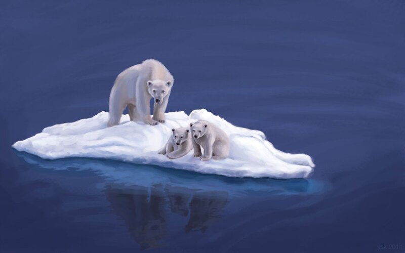 Polar bear family on ice