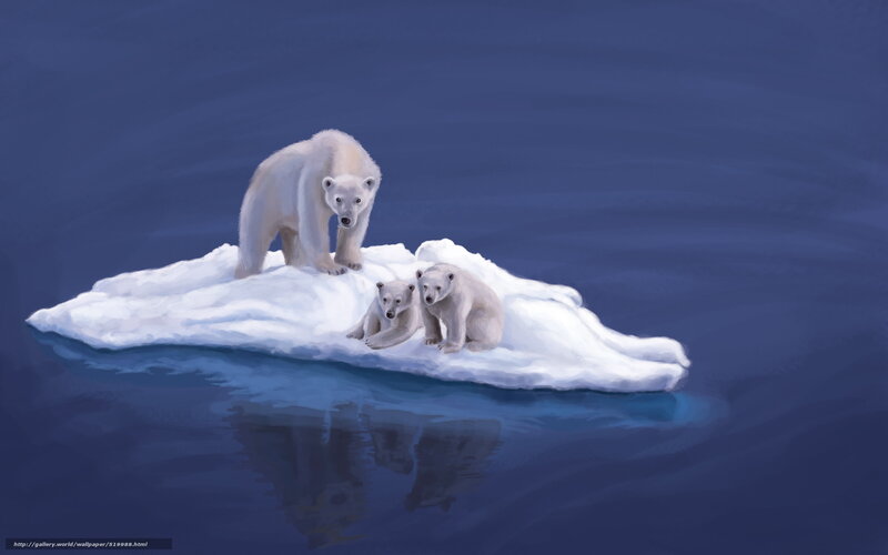 Polar bear family on ice