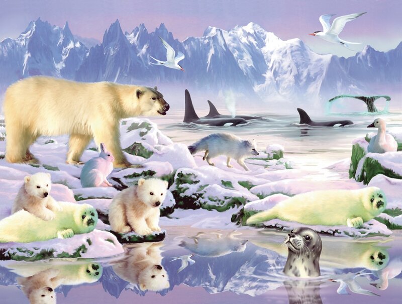 Polar Bear Family on Ice — White